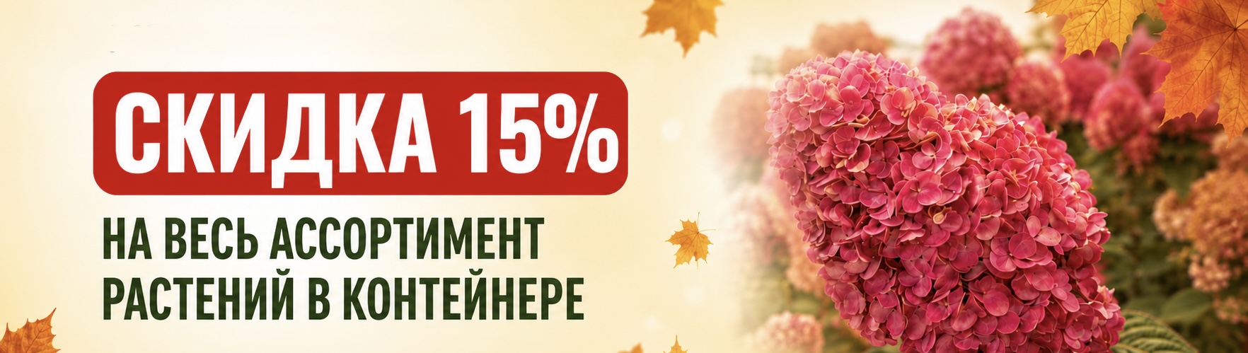 Осенние скидки! 