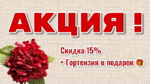 АКЦИЯ – ДВОЙНАЯ ВЫГОДА АКЦИЯ – ДВОЙНАЯ ВЫГОДА